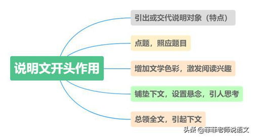 知識的寶庫用了哪些說明方法