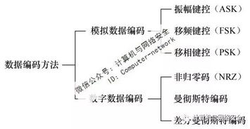 數據編碼的常用方法有哪些