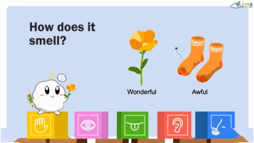 思維訓(xùn)練小方法有哪些