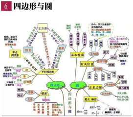 除了思維導圖還有哪些學(xué)生總結方法