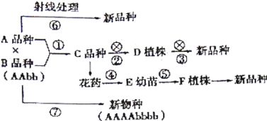 代謝調(diào)節(jié)育種方法有哪些