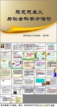 社會(huì )系統研究方法有哪些方法論方法論