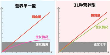 長(cháng)高的科學(xué)物理方法有哪些