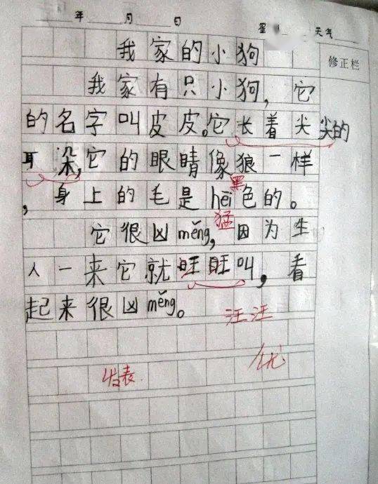 觀(guān)察日記有哪些方法