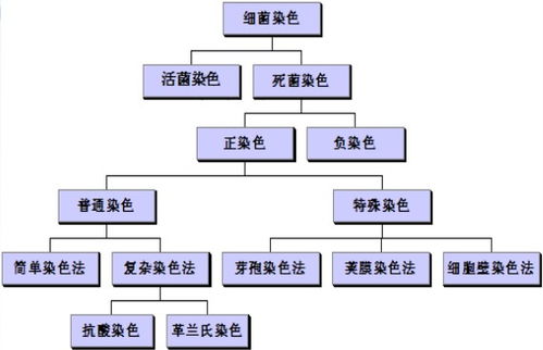工業(yè)化培養細菌的方法有哪些