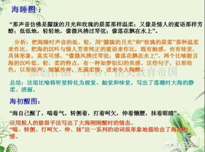 小學(xué)生常見(jiàn)寫(xiě)作方法有哪些