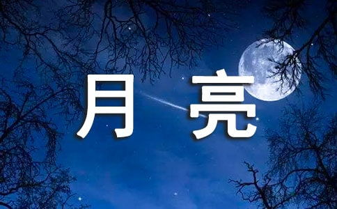 關(guān)于月亮的詩(shī)句和體會(huì )