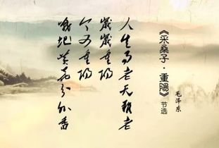寫(xiě)出兩個(gè)關(guān)于節日的詩(shī)句
