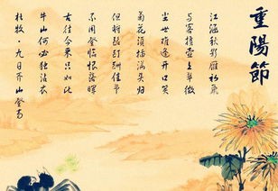關(guān)于重陽(yáng)節登高的古詩(shī)的詩(shī)句