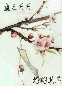 詩(shī)經(jīng)中關(guān)于愛(ài)情的詩(shī)句小學(xué)生