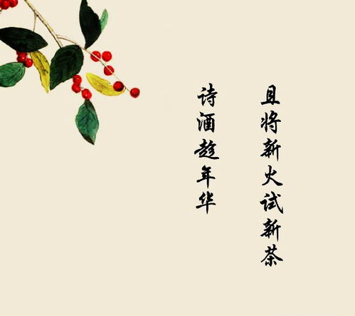 關(guān)于你不懂我的心的古詩(shī)句