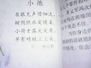 初中關(guān)于描寫(xiě)花的詩(shī)句