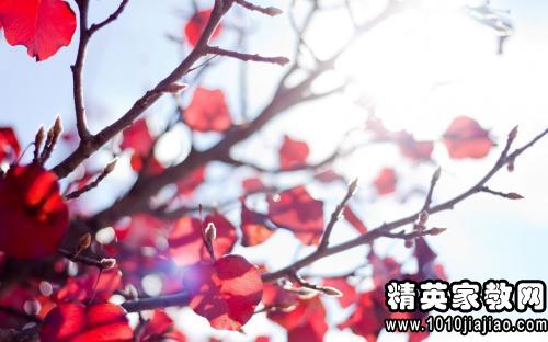 關(guān)于對生命感慨的詩(shī)句