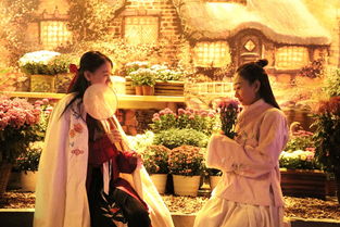 清明節關(guān)于菊花詩(shī)句大全