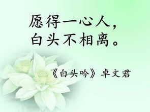古代文人關(guān)于愛(ài)情的詩(shī)句