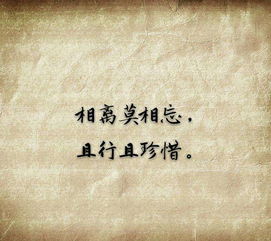 與且行且珍惜相近的古詩(shī)句