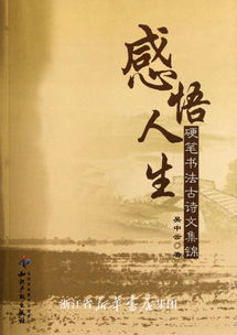感慨的古詩(shī)句子