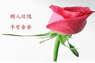 詩(shī)句,留香
