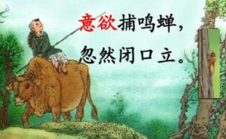 關(guān)于家庭教育的古詩(shī),家庭教育重要性的古詩(shī),贊美家庭教育好的古詩(shī)