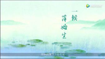 關(guān)于節氣的諺語(yǔ)詩(shī)句