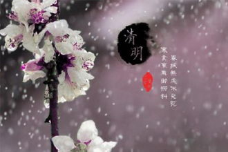 晶晶有發(fā)的古詩(shī)句