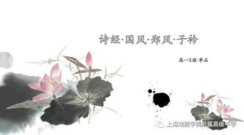 詩(shī)經(jīng)關(guān)于才華的詩(shī)句
