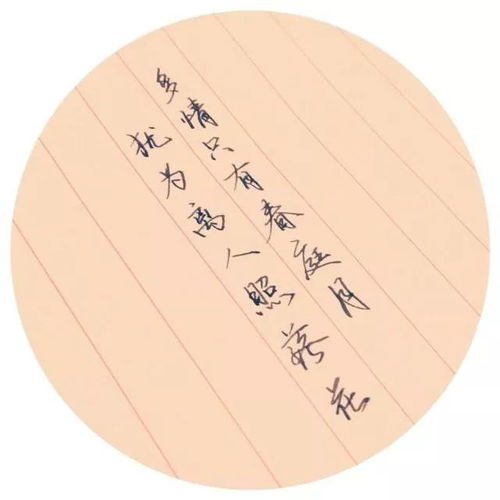 寫(xiě)情感的詩(shī)句古詩(shī)詞