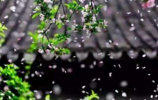 描寫(xiě)春天萬(wàn)物復蘇的詩(shī)句,春天萬(wàn)物復蘇的句子的詩(shī)句,贊美春天萬(wàn)物復蘇的詩(shī)句