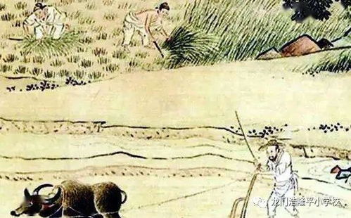 關(guān)于生活很精彩的詩(shī)句