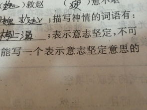 關(guān)于不怕困難意志堅強的古詩(shī)句