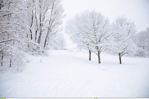 詩(shī)句,出處,作者,于雪