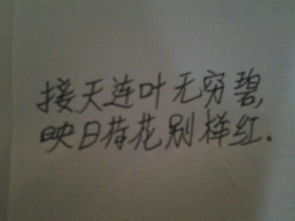 與登高相關(guān)的古詩(shī)句