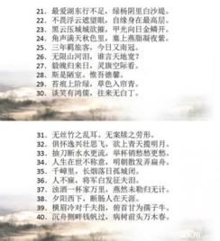 詩(shī)句,中學(xué)生,必備