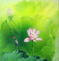 古詩(shī)中帶蓮花的詩(shī)句