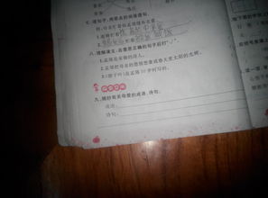 有關(guān)于親情的諺語(yǔ)或詩(shī)句