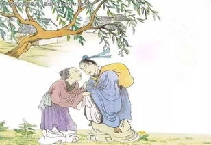 寫(xiě)春的古詩(shī)句子,寫(xiě)秋的古詩(shī)句子,寫(xiě)冬天的古詩(shī)句子
