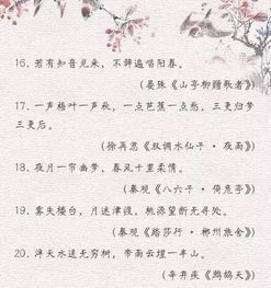 詩(shī)句,文人,古代,愛(ài)情