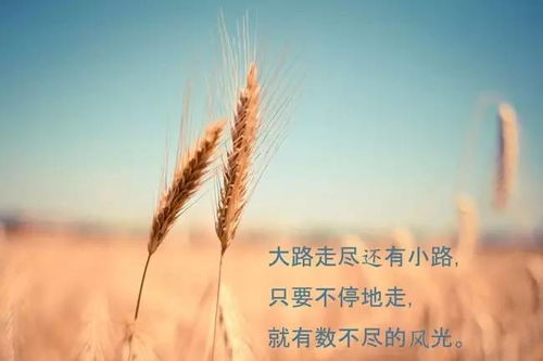 關(guān)于自律勵志的詩(shī)句