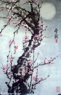關(guān)于雪梅的詩(shī)句古詩(shī)