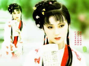 紅樓夢(mèng)有關(guān)林黛玉葬花的詩(shī)句,紅樓夢(mèng)屬于林黛玉的詩(shī)句,紅樓夢(mèng)贊美林黛玉的詩(shī)句