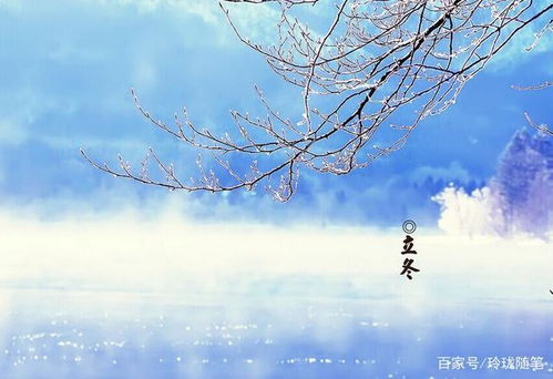 很美,詩(shī)句,景色