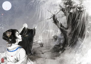 今夜你會(huì )不會(huì )來(lái)古詩(shī)句