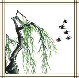 西湖柳樹(shù)的古詩(shī)句