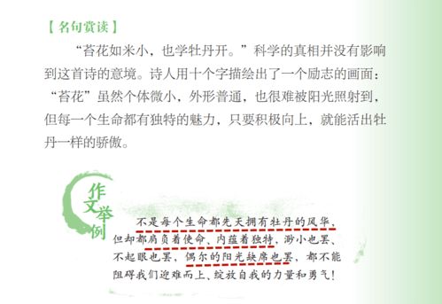 關(guān)于個(gè)人感情問(wèn)題的詩(shī)句