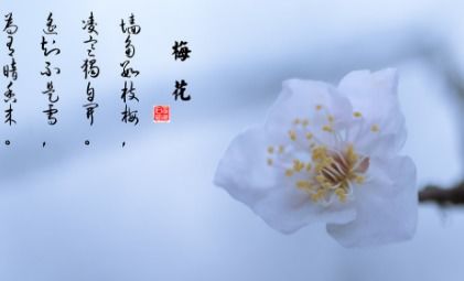 詩(shī)句,燕南