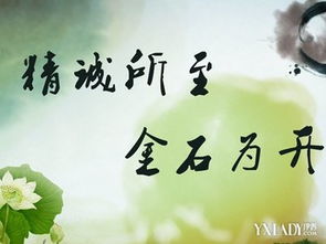 關(guān)于老師的名言和詩(shī)句有哪些,關(guān)于老師的名言和詩(shī)句還有文章,老師對學(xué)生的期望名言或詩(shī)句