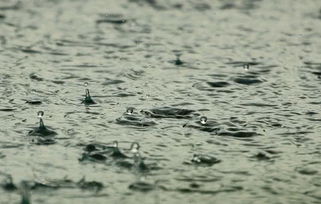 帶雨的古詩詞100首,關(guān)于雨的飛花令的古詩,帶雨字的古詩飛花令