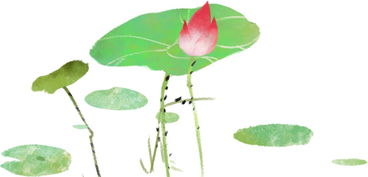 佛教里荷的詩(shī)句古詩(shī)