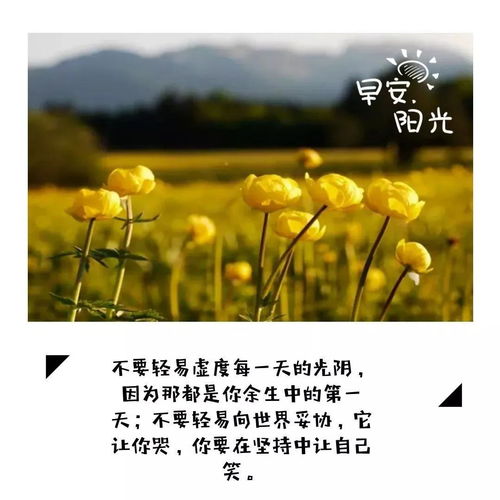 詩(shī)句,積極進(jìn)取