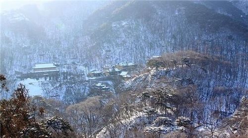 兩句,詩(shī)句,帶雪字
